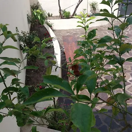 Luna Apartment Olbia